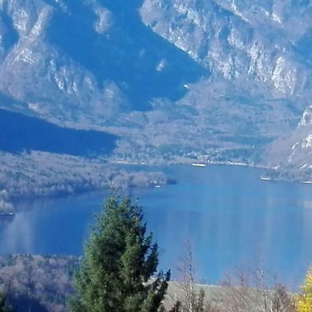 Apartmaji Korosec Na Koprivniku Διαμέρισμα Koprivnik v Bohinju Εξωτερικό φωτογραφία