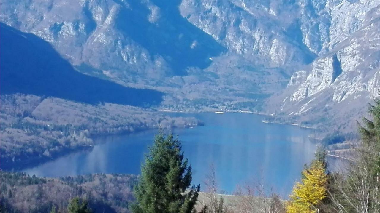 Apartmaji Korosec Na Koprivniku Διαμέρισμα Koprivnik v Bohinju Εξωτερικό φωτογραφία